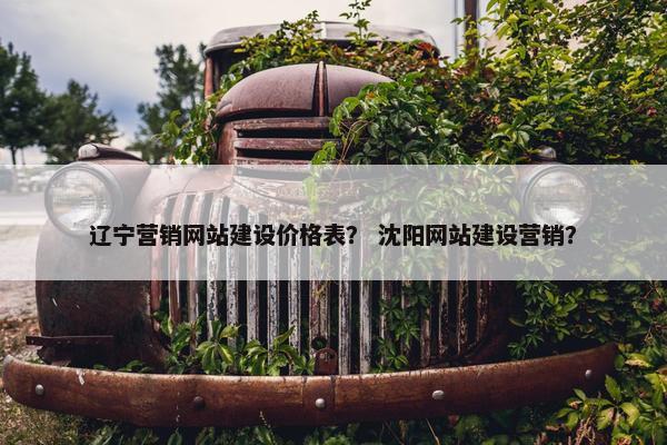 辽宁营销网站建设价格表？ 沈阳网站建设营销？