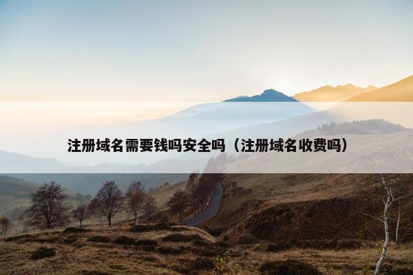 注册域名需要钱吗安全吗（注册域名收费吗）