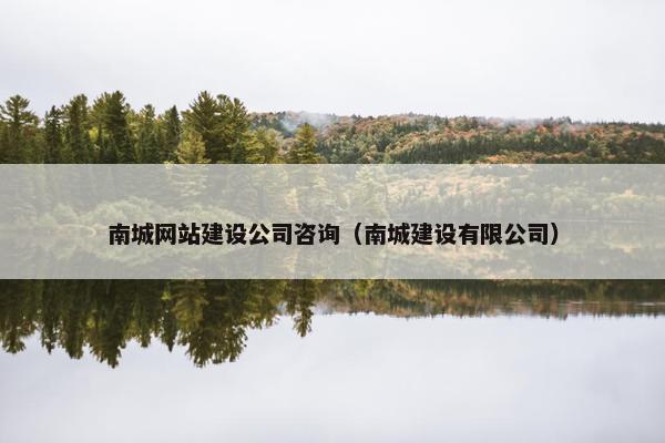南城网站建设公司咨询（南城建设有限公司）