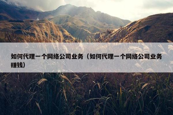 如何代理一个网络公司业务（如何代理一个网络公司业务赚钱）