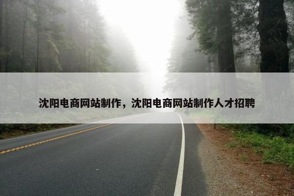 沈阳电商网站制作，沈阳电商网站制作人才招聘