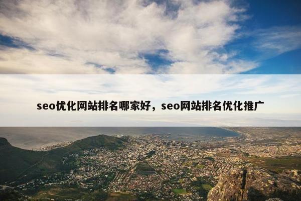 seo优化网站排名哪家好，seo网站排名优化推广