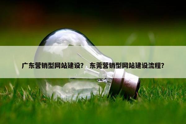 广东营销型网站建设？ 东莞营销型网站建设流程？