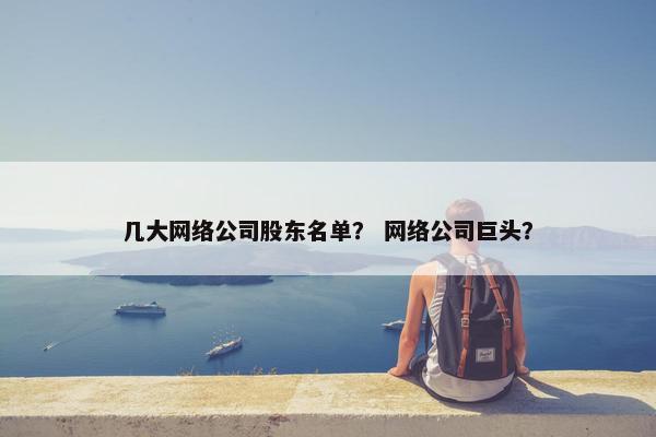 几大网络公司股东名单？ 网络公司巨头？