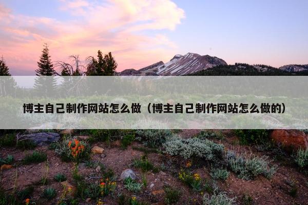 博主自己制作网站怎么做（博主自己制作网站怎么做的）