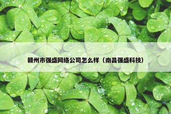 赣州市强盛网络公司怎么样（南昌强盛科技）