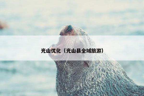 光山优化（光山县全域旅游）