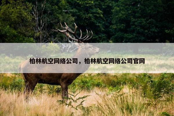 柏林航空网络公司，柏林航空网络公司官网