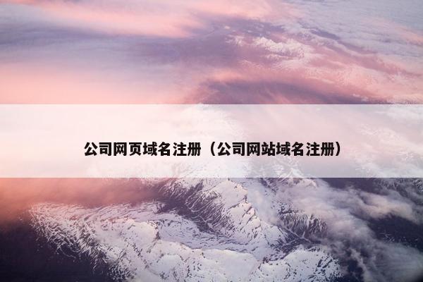 公司网页域名注册（公司网站域名注册）