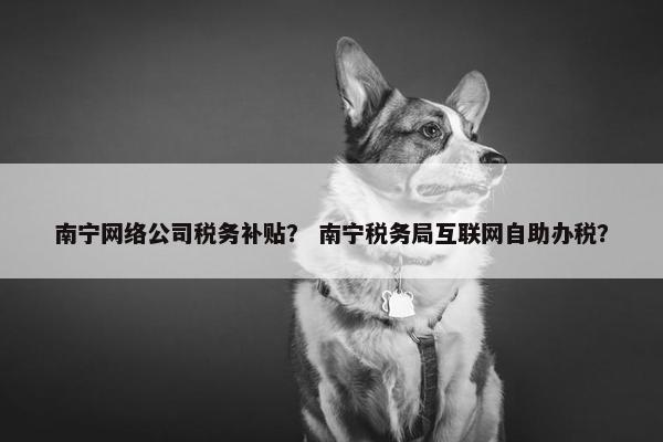 南宁网络公司税务补贴？ 南宁税务局互联网自助办税？