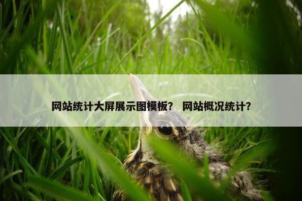 网站统计大屏展示图模板？ 网站概况统计？