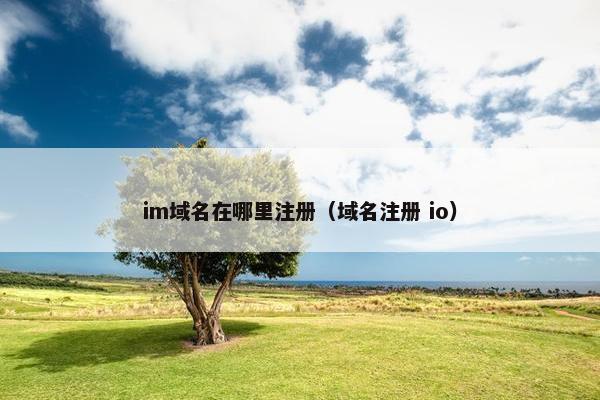 im域名在哪里注册（域名注册 io）