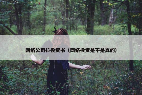 网络公司拉投资书（网络投资是不是真的）