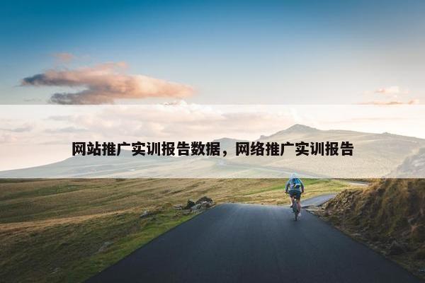 网站推广实训报告数据，网络推广实训报告