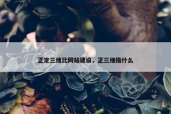 正定三维比网站建设，正三维指什么