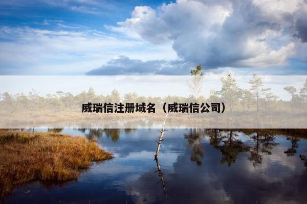 威瑞信注册域名（威瑞信公司）