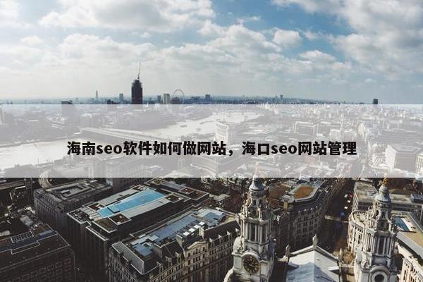 海南seo软件如何做网站，海口seo网站管理