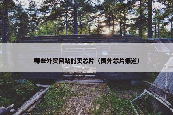 哪些外贸网站能卖芯片（国外芯片渠道）