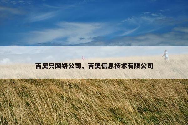 吉奥只网络公司，吉奥信息技术有限公司