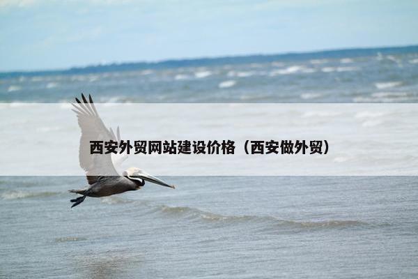 西安外贸网站建设价格（西安做外贸）