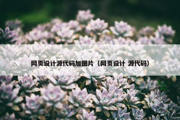 网页设计源代码加图片（网页设计 源代码）