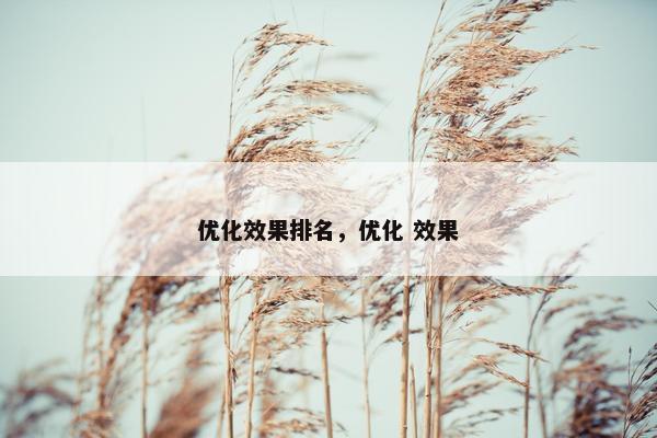 优化效果排名，优化 效果