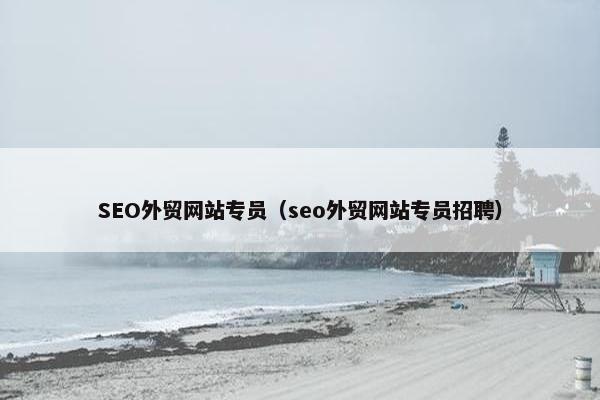 SEO外贸网站专员（seo外贸网站专员招聘）