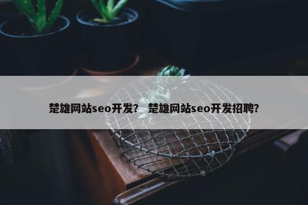 楚雄网站seo开发？ 楚雄网站seo开发招聘？