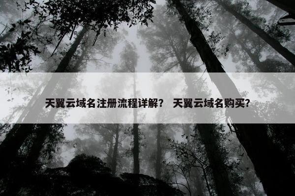 天翼云域名注册流程详解？ 天翼云域名购买？