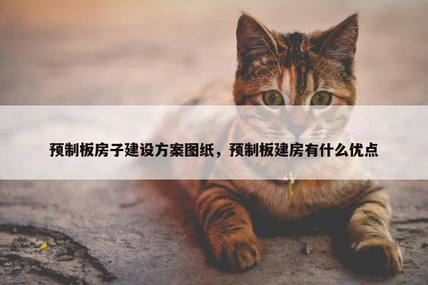 预制板房子建设方案图纸，预制板建房有什么优点