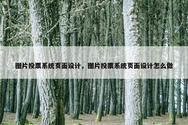 图片投票系统页面设计，图片投票系统页面设计怎么做