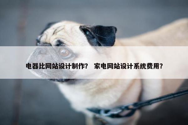 电器比网站设计制作？ 家电网站设计系统费用？