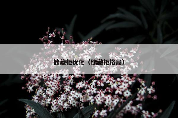 储藏柜优化（储藏柜格局）