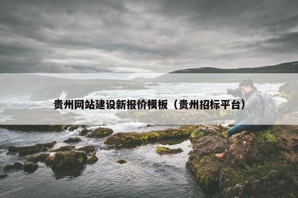 贵州网站建设新报价模板（贵州招标平台）