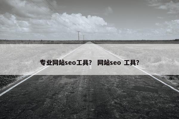 专业网站seo工具？ 网站seo 工具？