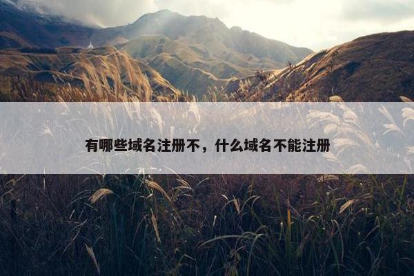 有哪些域名注册不，什么域名不能注册