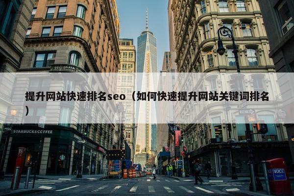 提升网站快速排名seo（如何快速提升网站关键词排名）