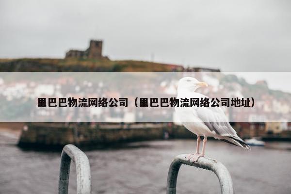 里巴巴物流网络公司（里巴巴物流网络公司地址）