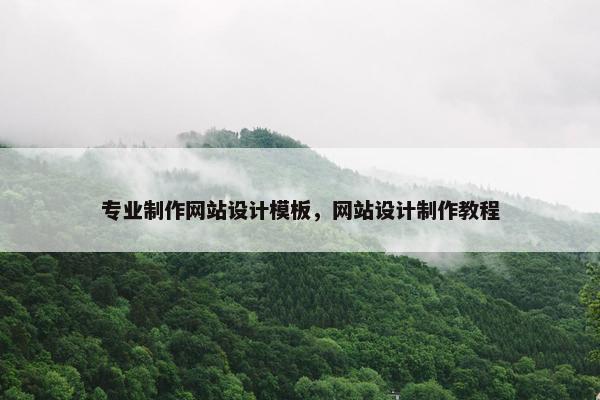 专业制作网站设计模板，网站设计制作教程