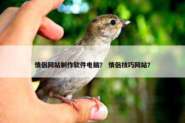 情侣网站制作软件电脑？ 情侣技巧网站？