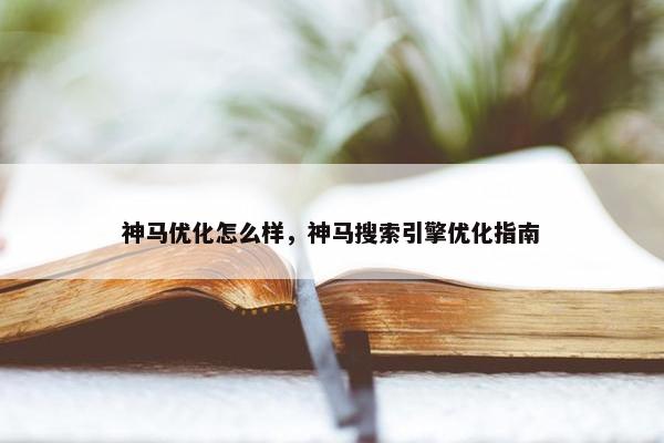 神马优化怎么样，神马搜索引擎优化指南