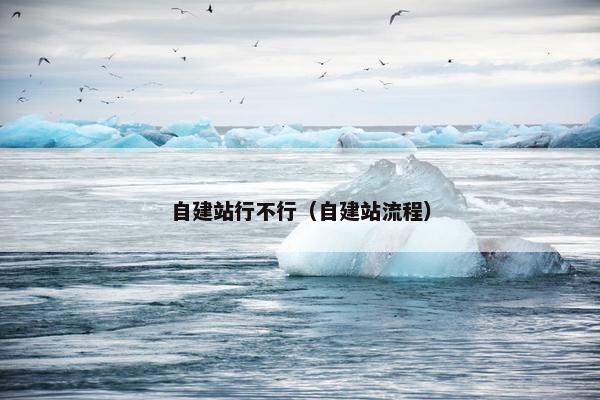 自建站行不行（自建站流程）