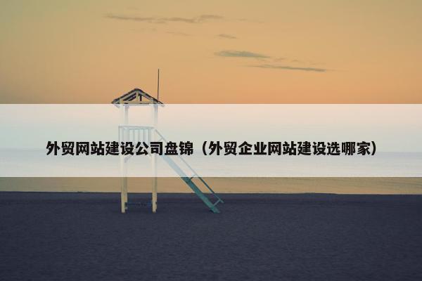 外贸网站建设公司盘锦（外贸企业网站建设选哪家）