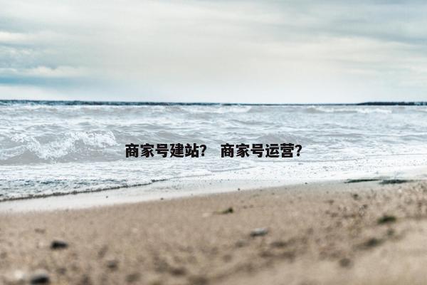 商家号建站？ 商家号运营？