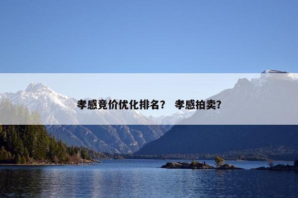 孝感竞价优化排名？ 孝感拍卖？