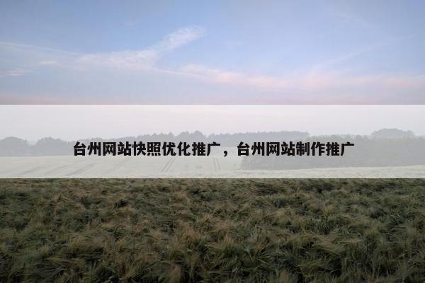 台州网站快照优化推广，台州网站制作推广