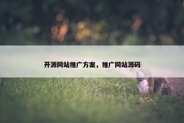 开源网站推广方案，推广网站源码