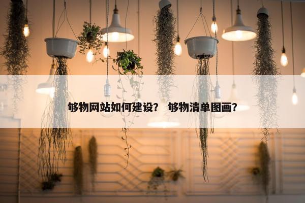 够物网站如何建设？ 够物清单图画？