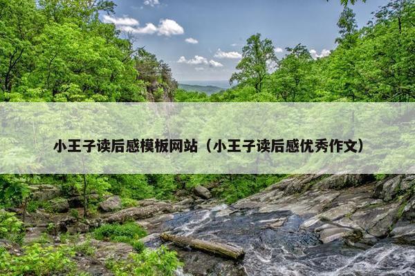 小王子读后感模板网站（小王子读后感优秀作文）
