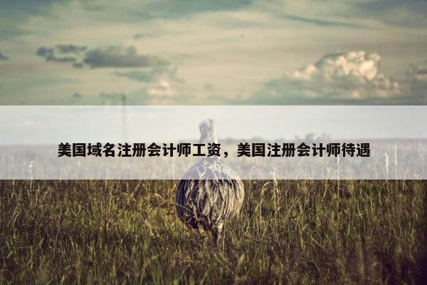 美国域名注册会计师工资，美国注册会计师待遇